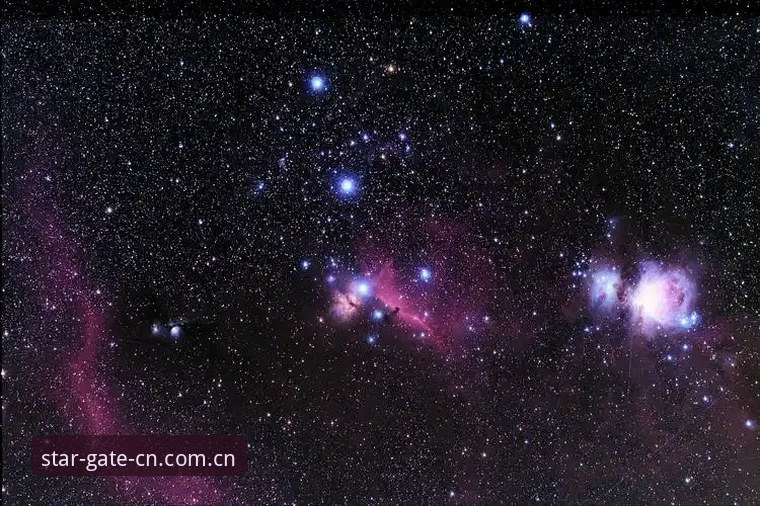 星空入口V1_002版本CDML推荐 揭秘星空入口V1_002版本CDML:一个数据狂人的真实体验报告